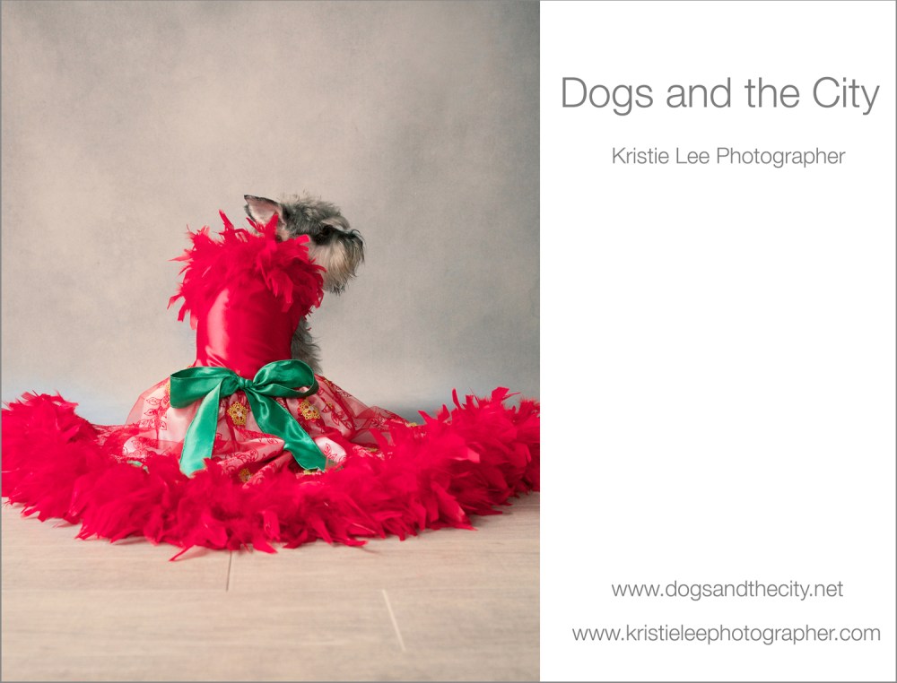 Venus dogs and the city kristie lee photographer