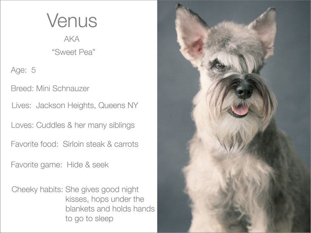 Venus profile  Kristie Lee Photographer