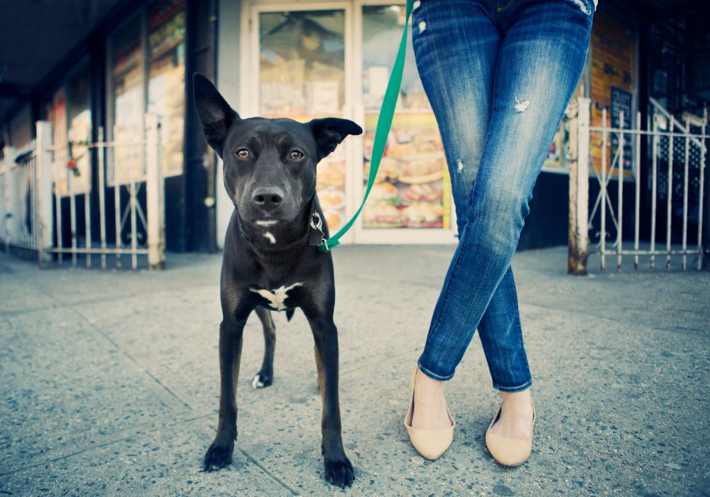 Otis- 183 kristie-lee-photographer