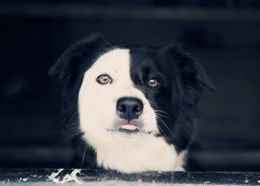 She- 030-31 kristie-lee-photographer