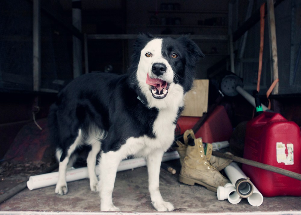 She- 041 kristie-lee-photographer