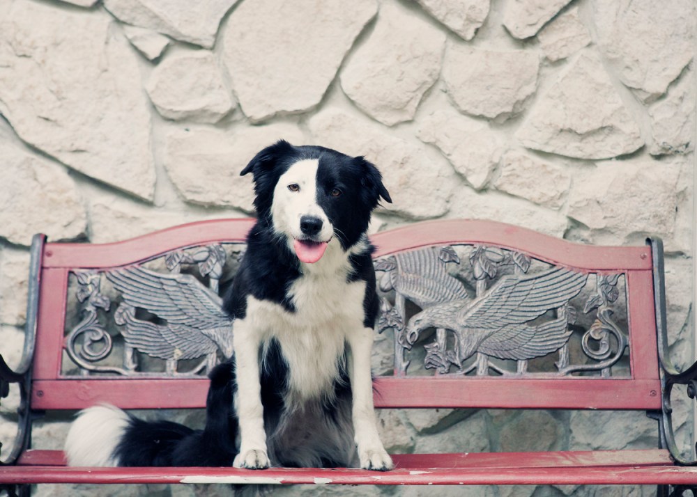 She- 075 kristie-lee-photographer