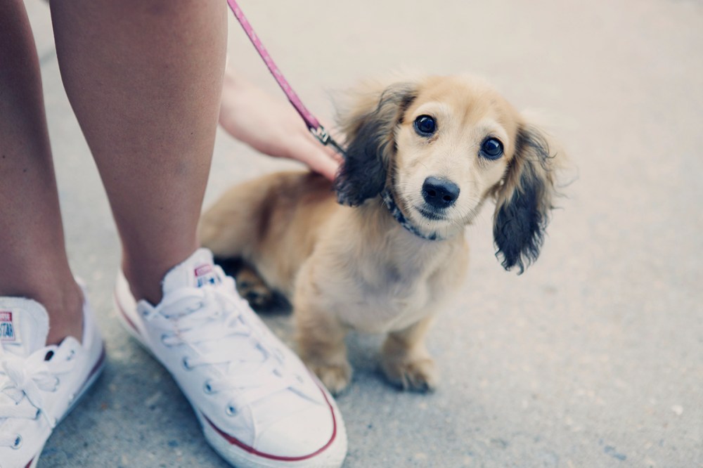 bark- 129 kristie-lee-photographer