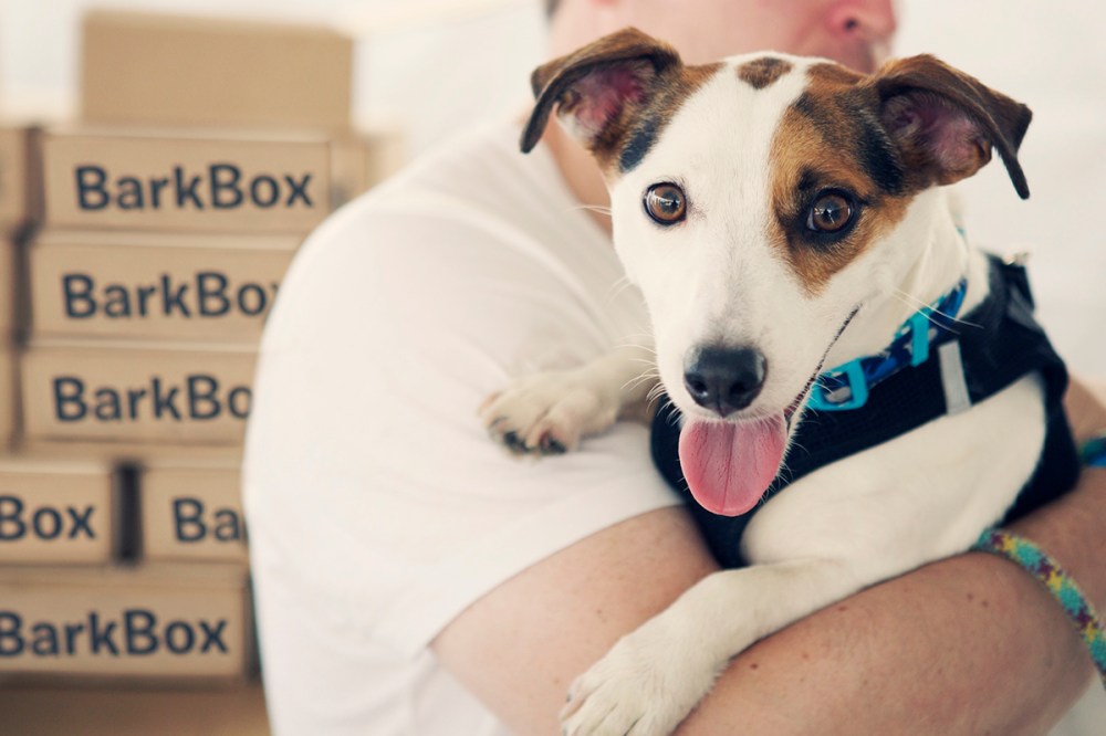 bark- 191 kristie-lee-photographer.com 2