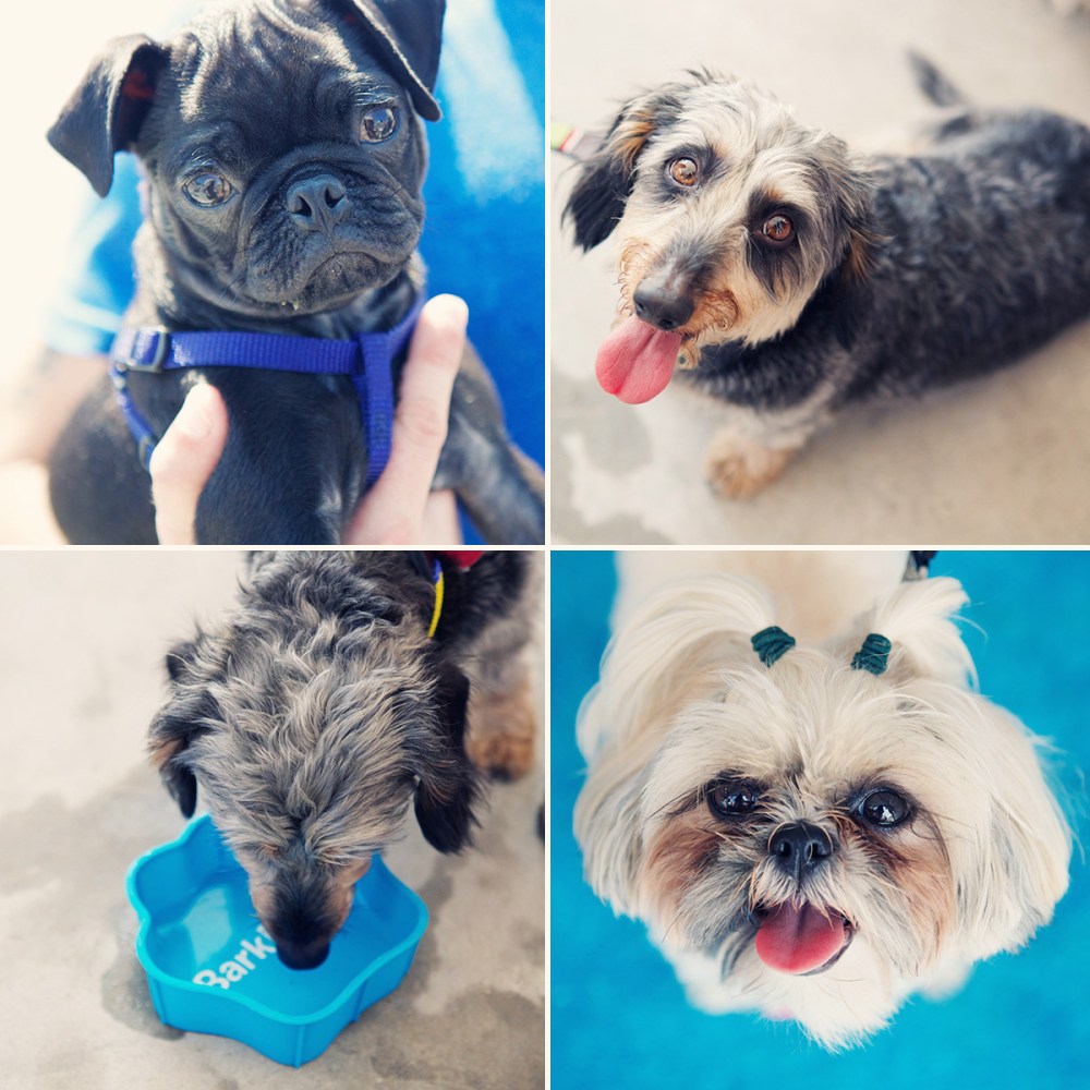 kristie-lee-photographer.com 2