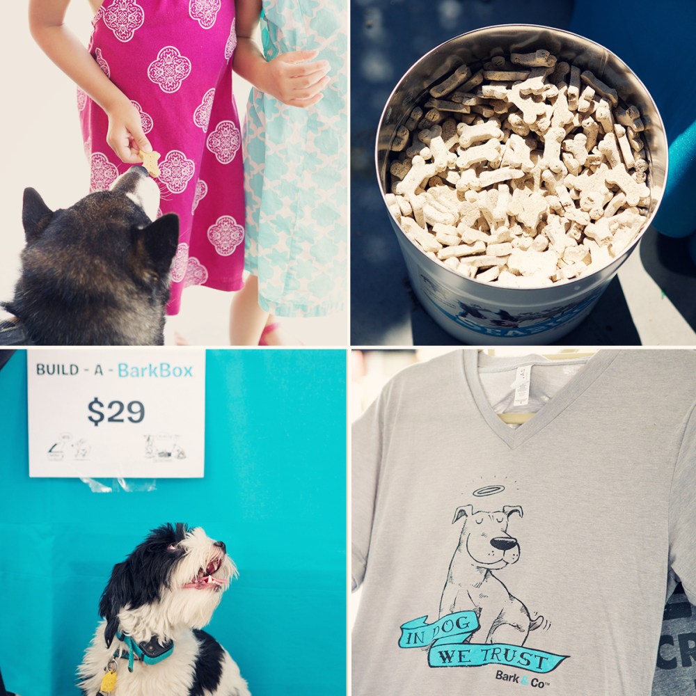 kristie-lee-photographer.com 3