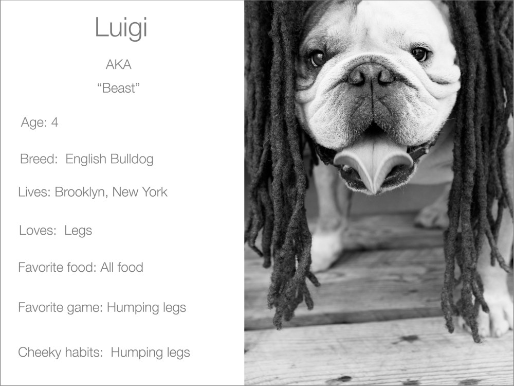 Luigi profile  Kristie-lee-photographer