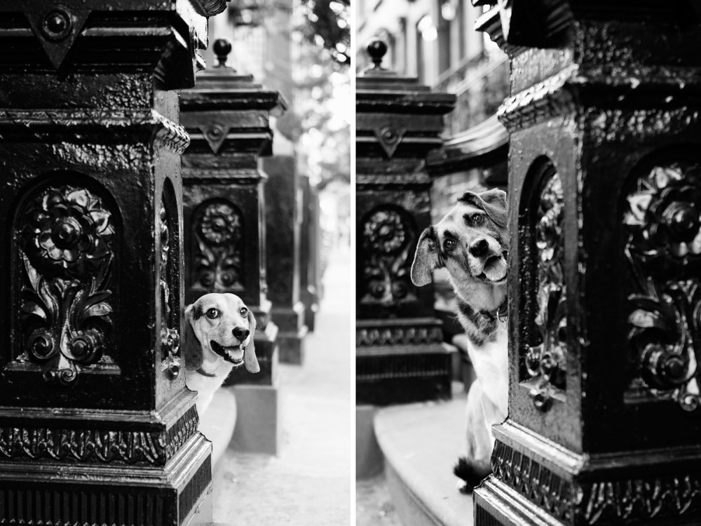 kristie-lee-photographer rhoda & cooper