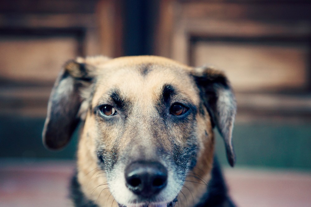 R&C- 110 kristie-lee-photographer