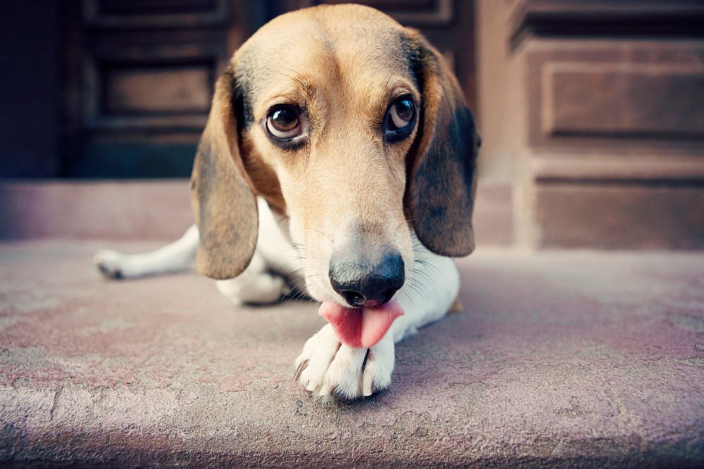 R&C- 127 kristie-lee-photographer