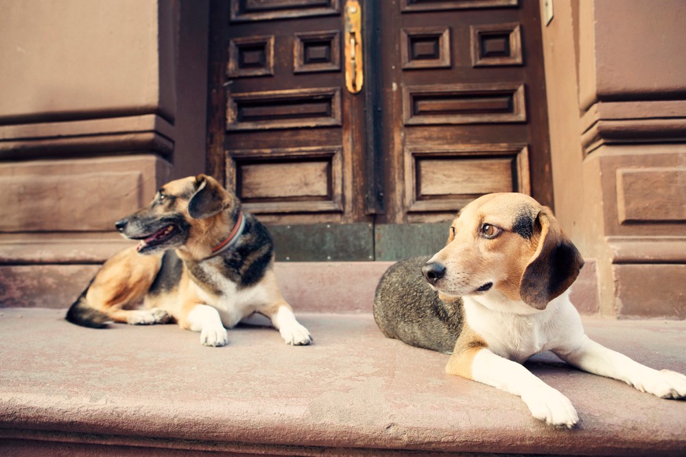 R&C- 145 kristie-lee-photographer