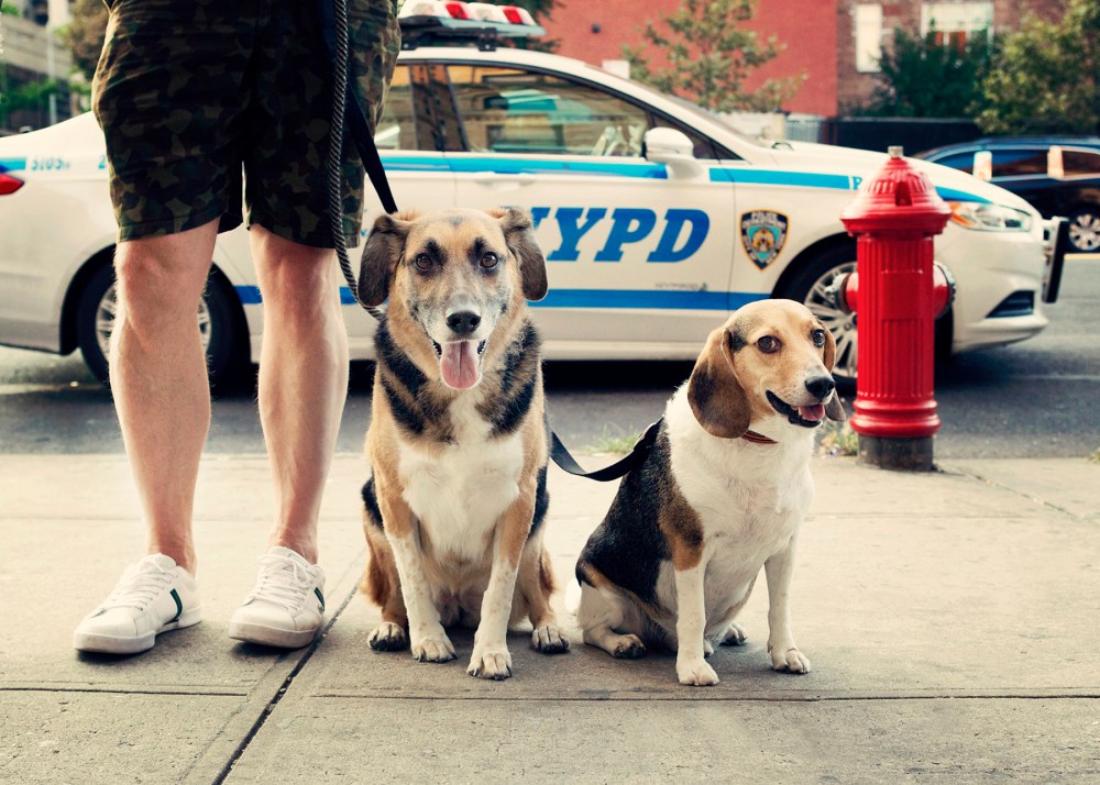 R&C- 175-176 kristie-lee-photographer