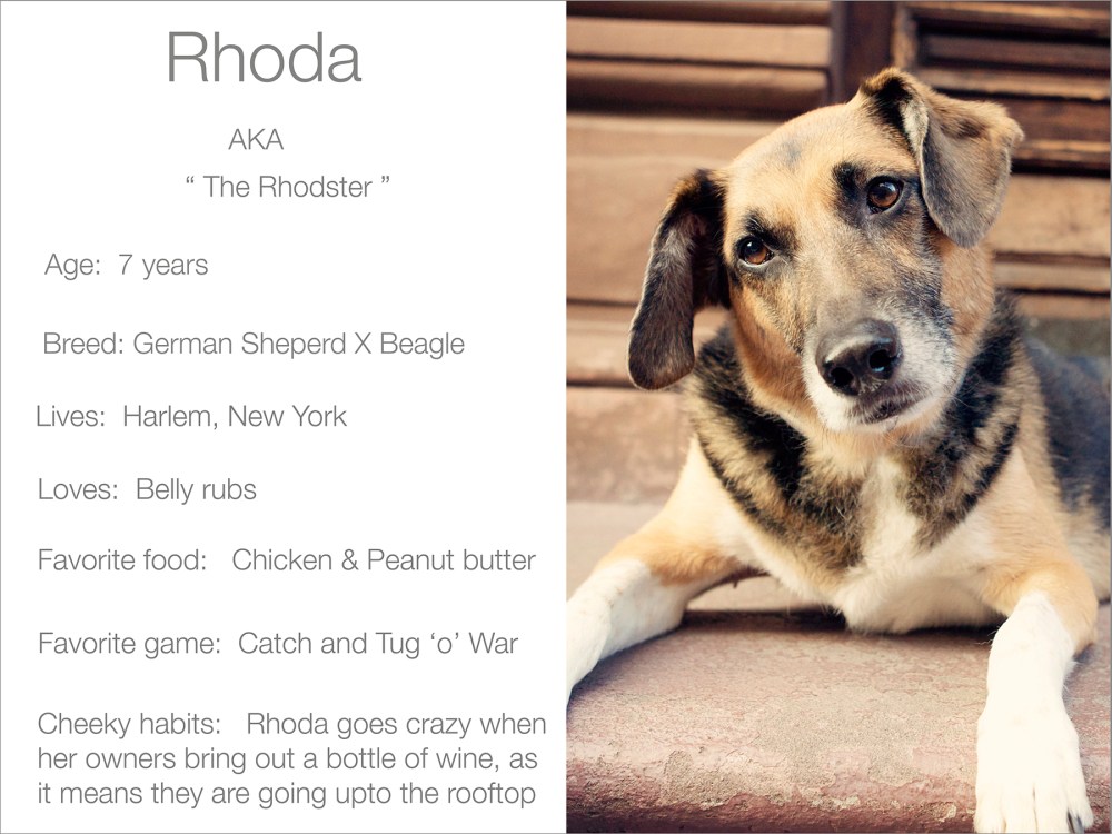 Rhoder profile  kristie-lee-photographer