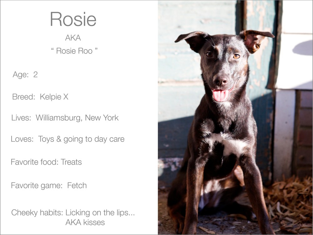 Rosie profile Kristie Lee Photographer