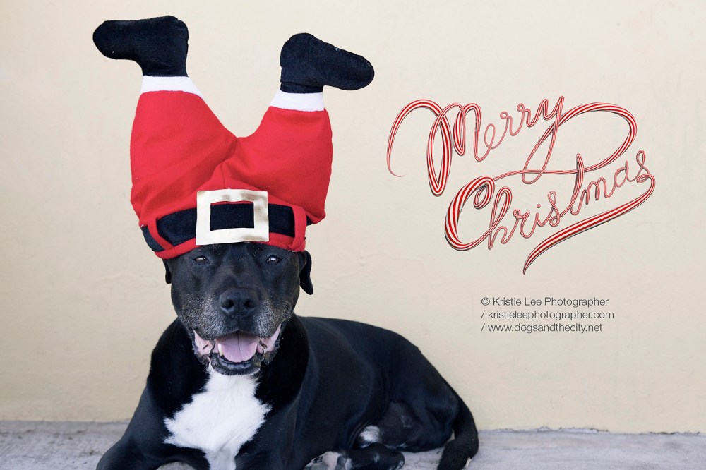 Edda-kristie-lee-photographer M