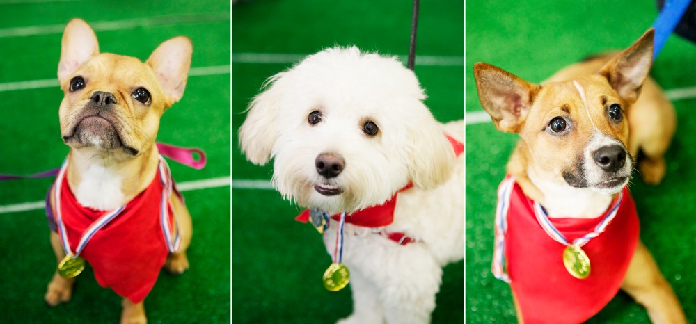 3 up kristie-lee-photographer 1