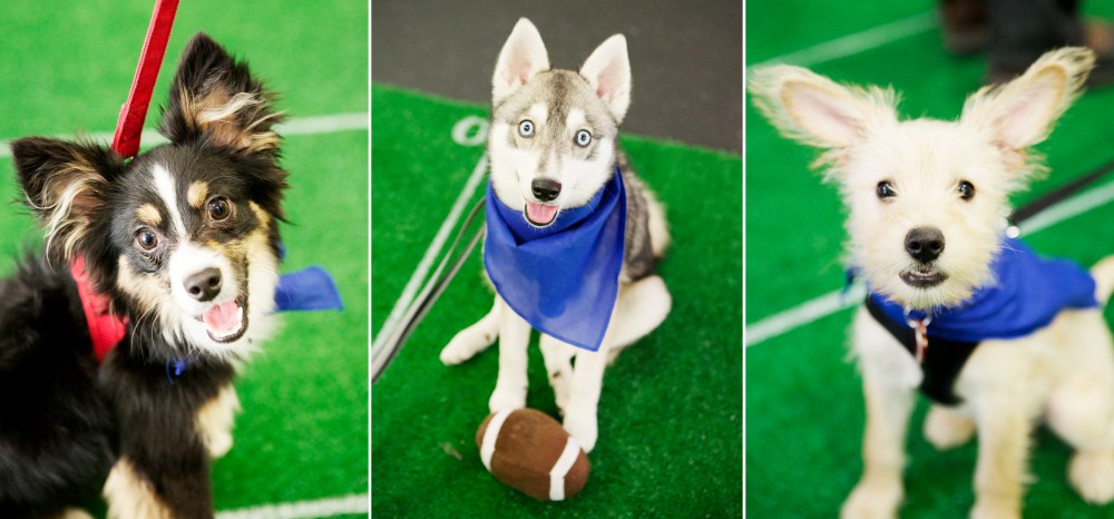 3 up kristie-lee-photographer 2