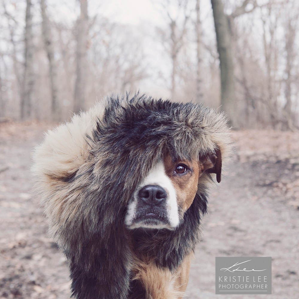 Max--094-kristie-lee-photographer-web