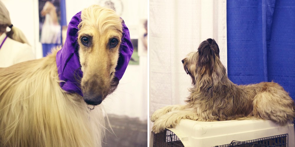 MTB- kristie-lee-photographer 1