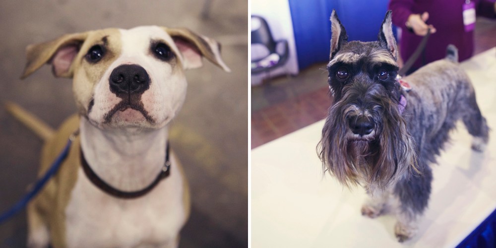 MTB- kristie-lee-photographer 3