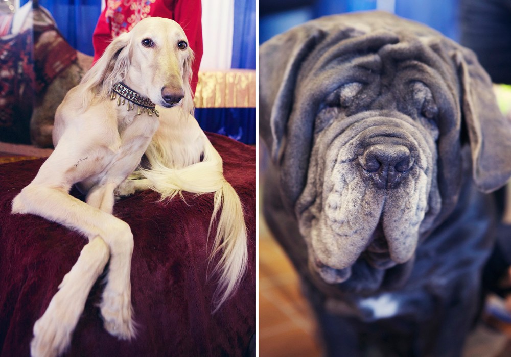 MTB-kristie-lee-photographer 4