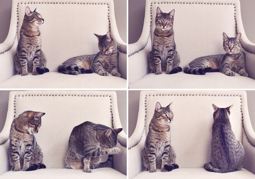 Munro 4 up 2 kristie-lee-photographer