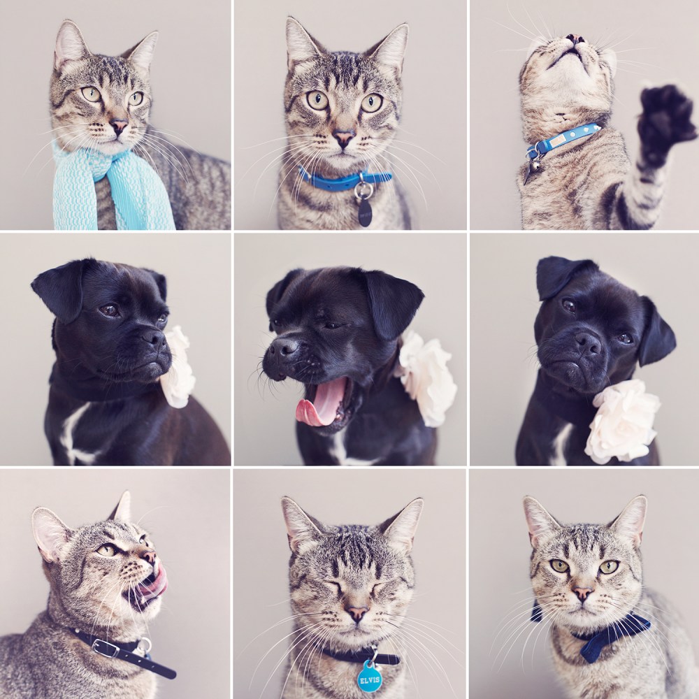 Munro 9 up kristie-lee-photographer