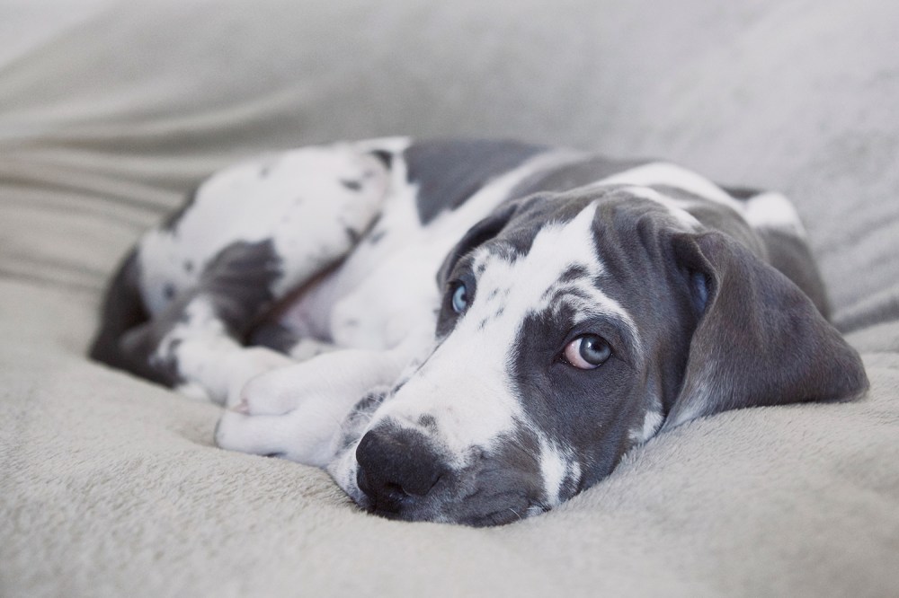 sam--065-kristie-lee-photographer-web