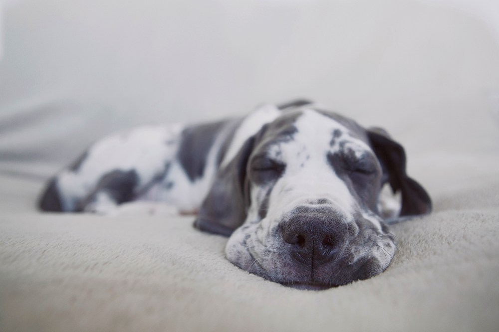 sam--075-kristie-lee-photographer-web