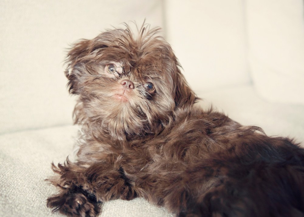 typ- 009 kristie-lee-photographer