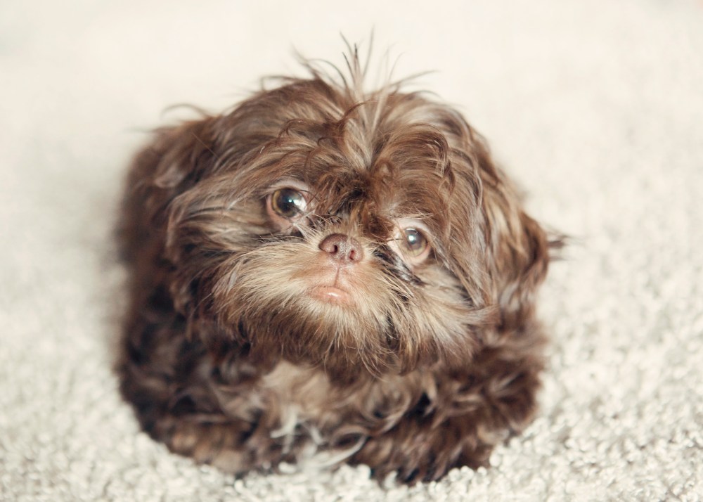 typ- 028 kristie-lee-photographer