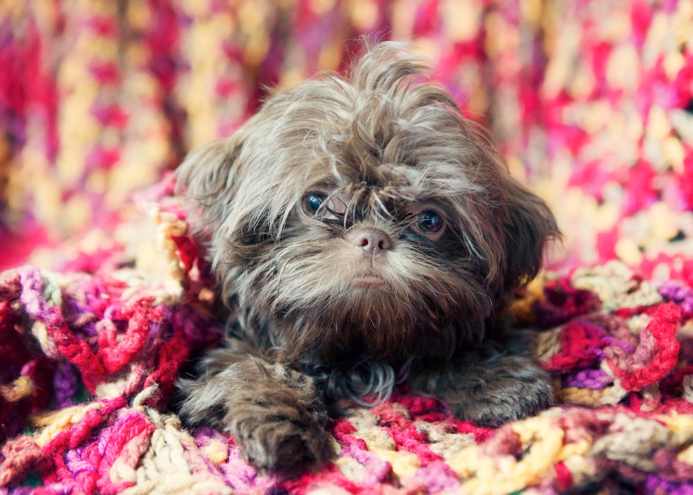 typ- 072 kristie-lee-photographer