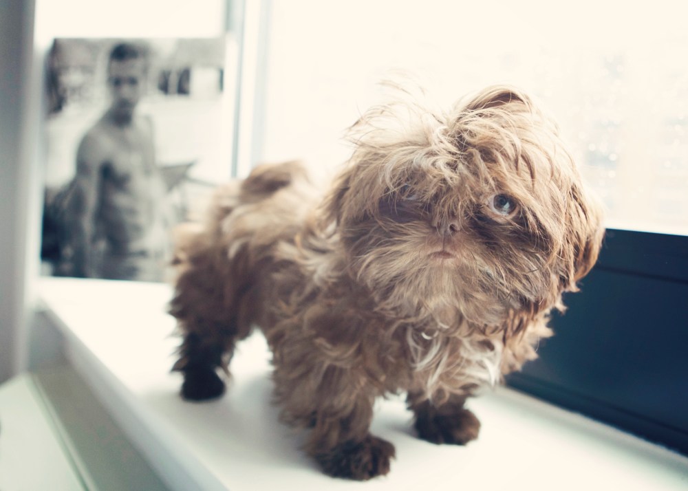 typ- 099 kristie-lee-photographer