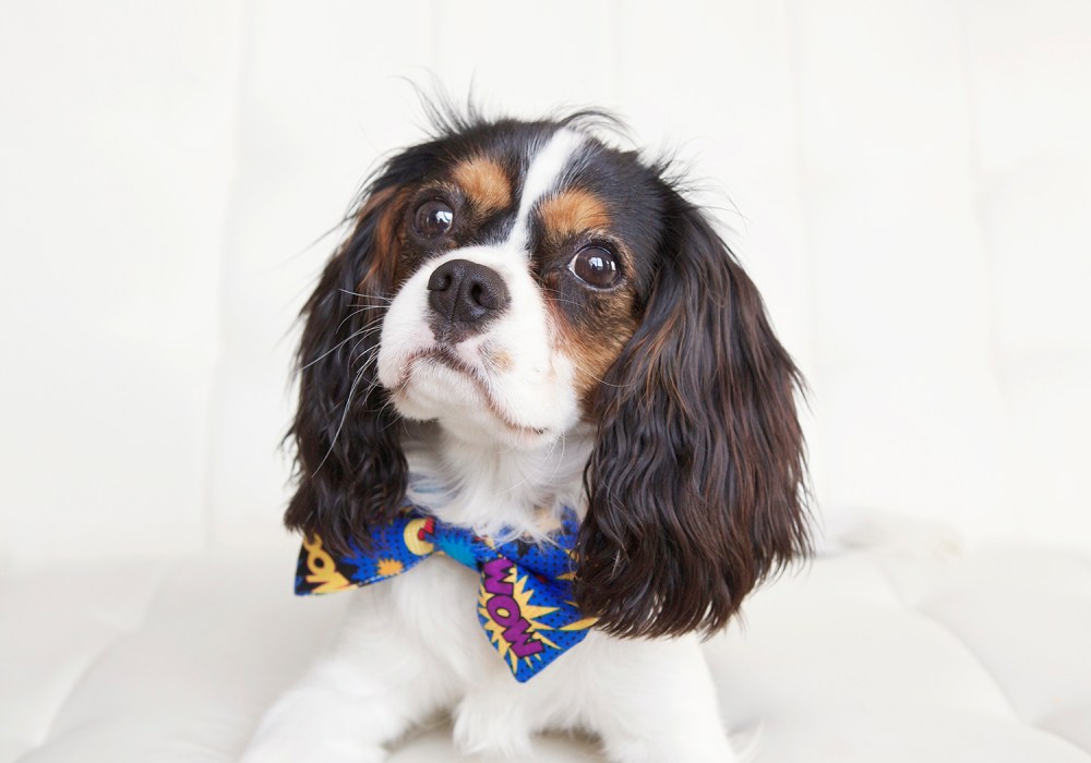 Mav- 085  kristie-lee-photographer