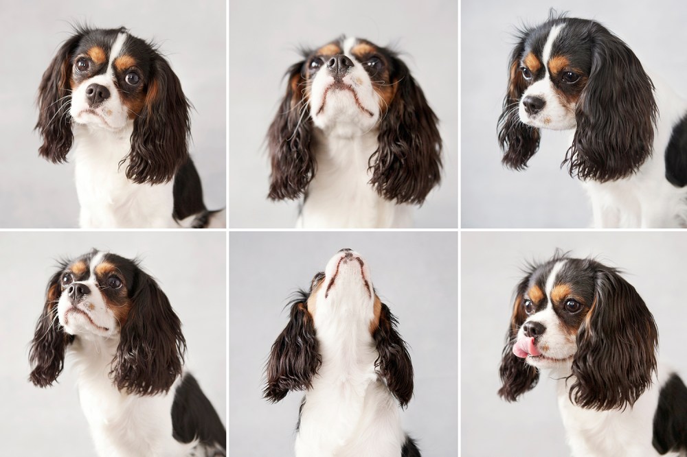 Mav 6 up kristie-lee-photographe