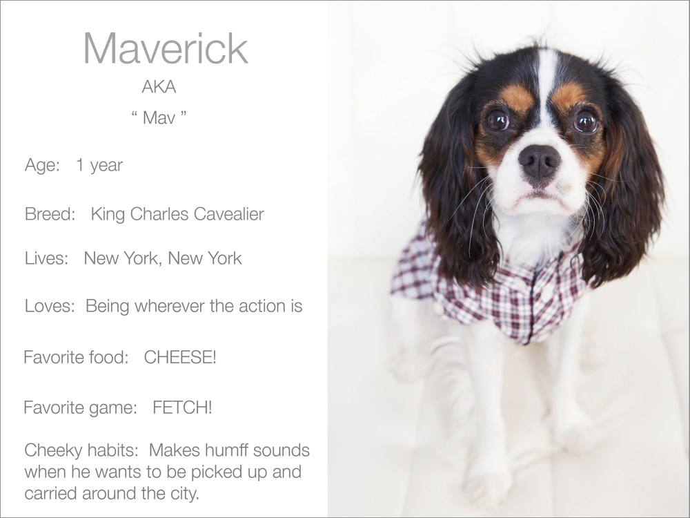 Mav profile  Kristie-lee-photographer