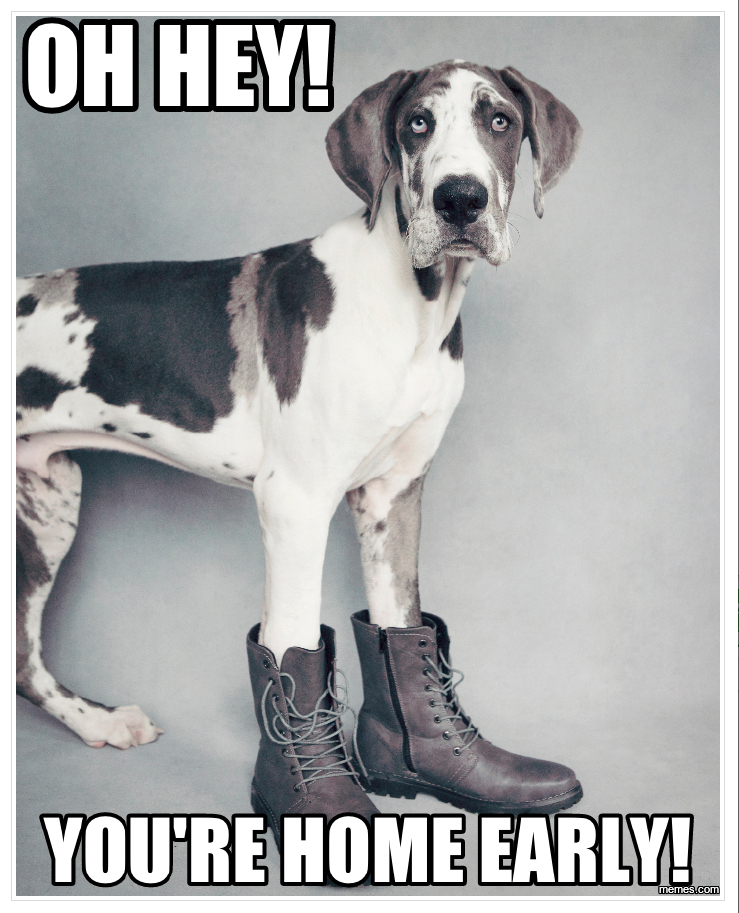 samson meme kristie-lee-photographer