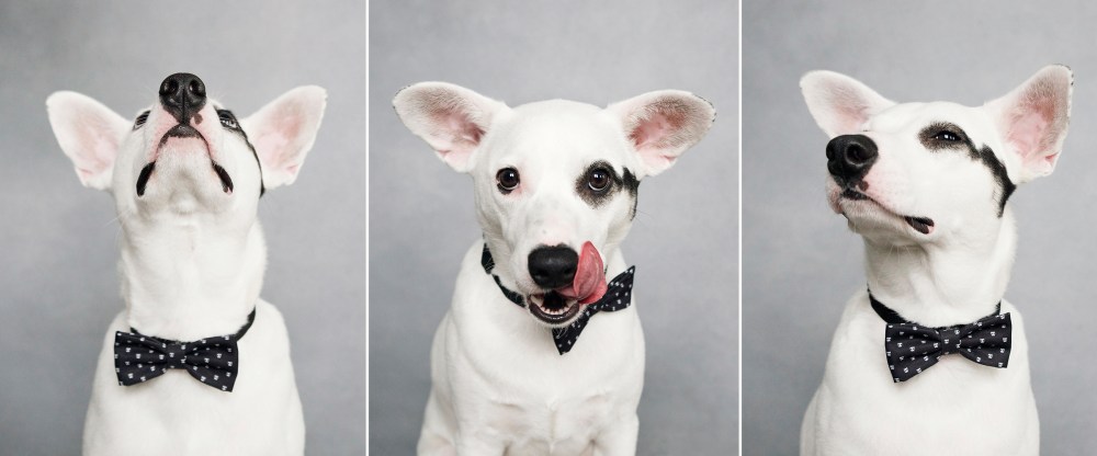 dax 3 kristie-lee-photographer