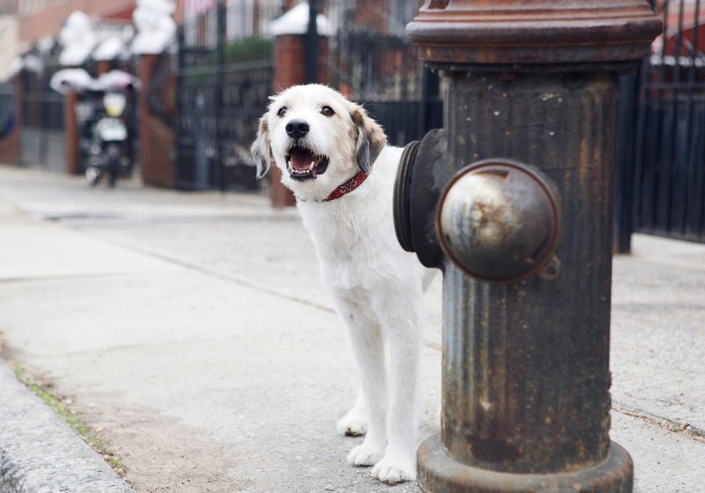 Dod- 054 kristie-lee-photographer