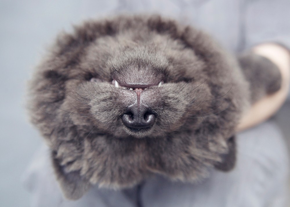 bar-162-kristie-lee-photographer