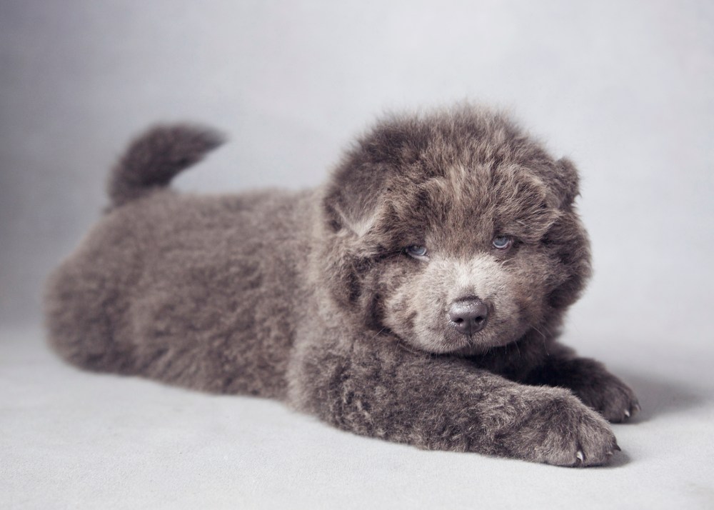 bar-192-kristie-lee-photographer