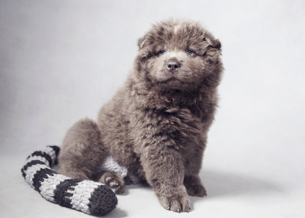 bar-225-kristie-lee-photographer