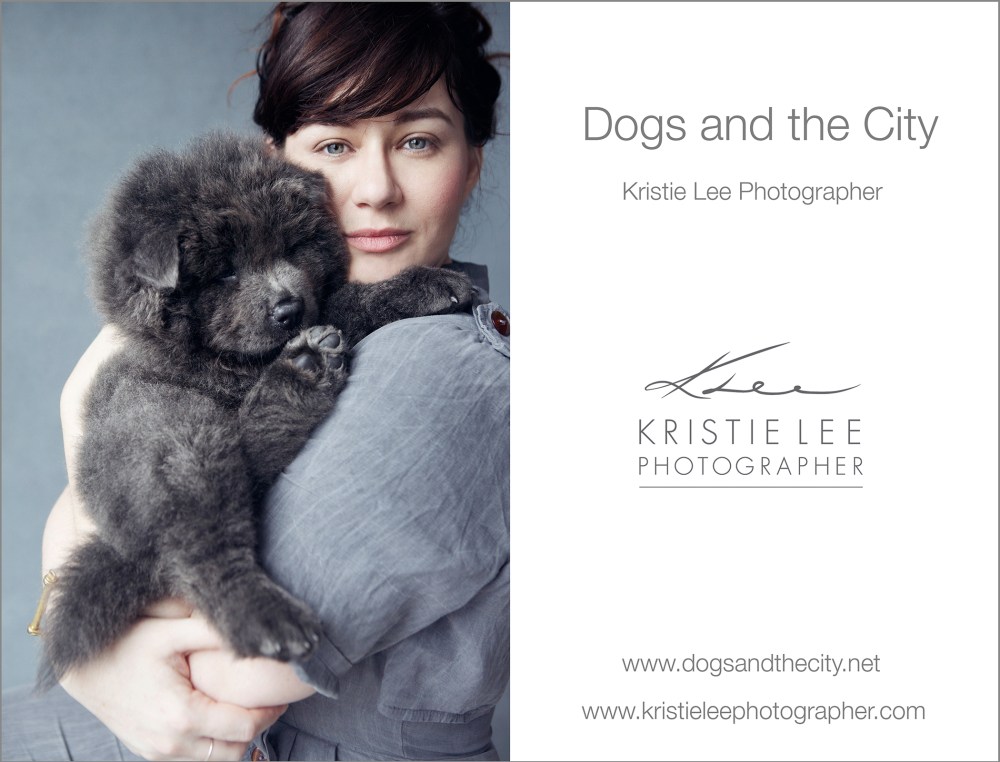 barry-dogs-and-the-city-kristie-lee-photographer