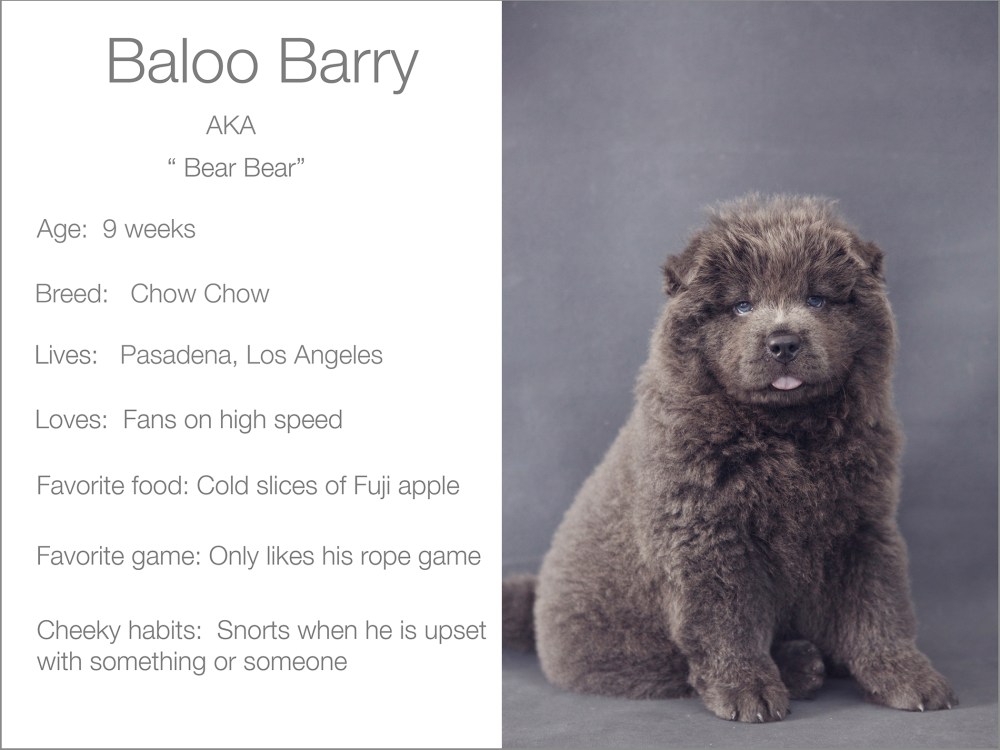 barry-profile-kristie-lee-photographer