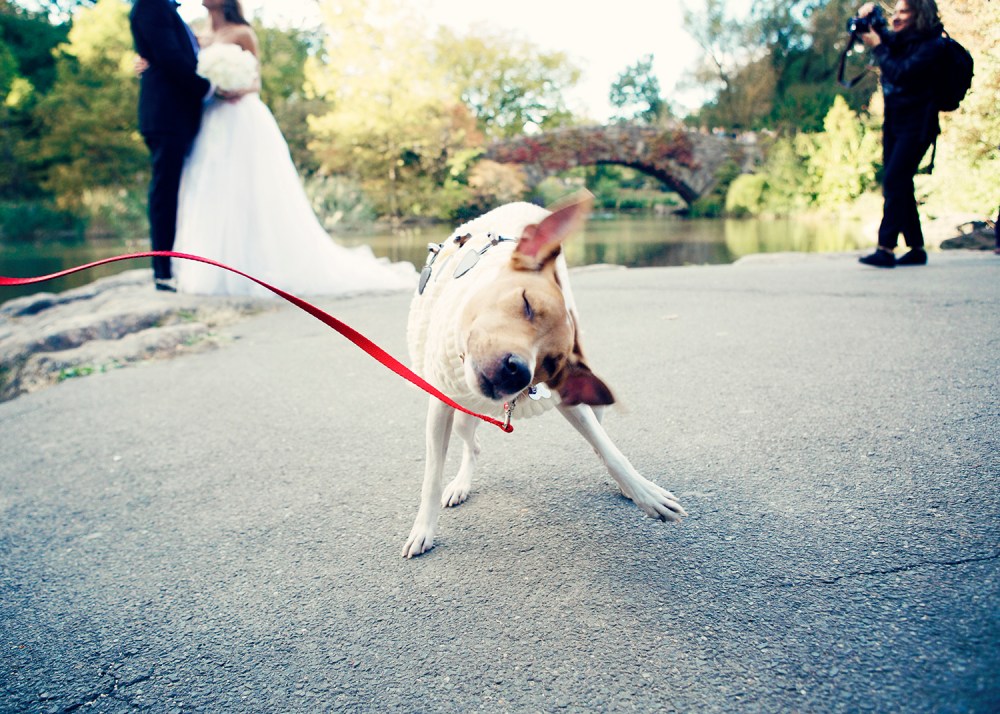 pen-057-kristie_lee_photographer