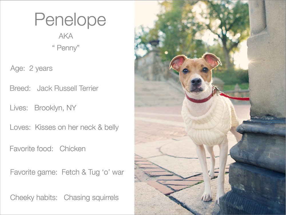 penny-profile-kristie-lee-photographer