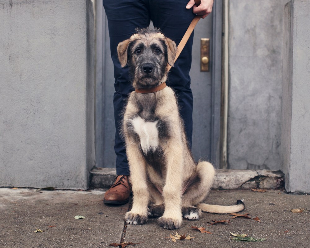 bor-050-kristie_lee_photographer