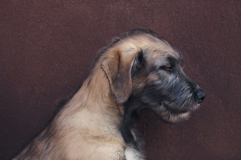 bor-094-kristie_lee_photographer