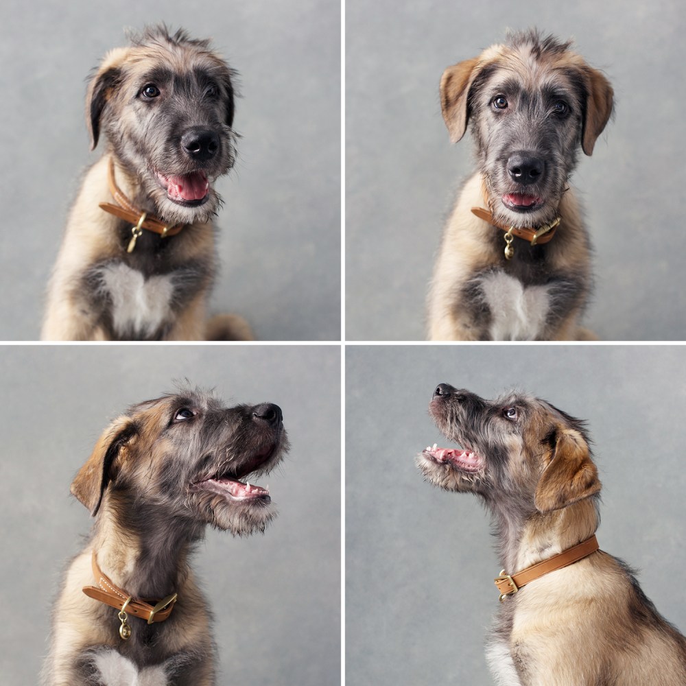 boru-4-kristie_lee_photographer