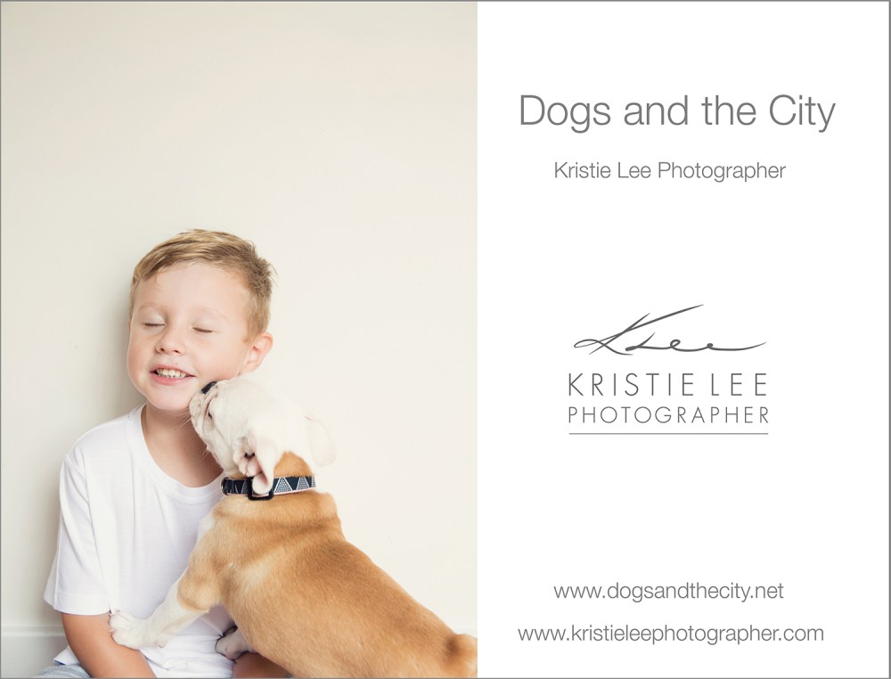 dogs and the city kristie_lee_photographer